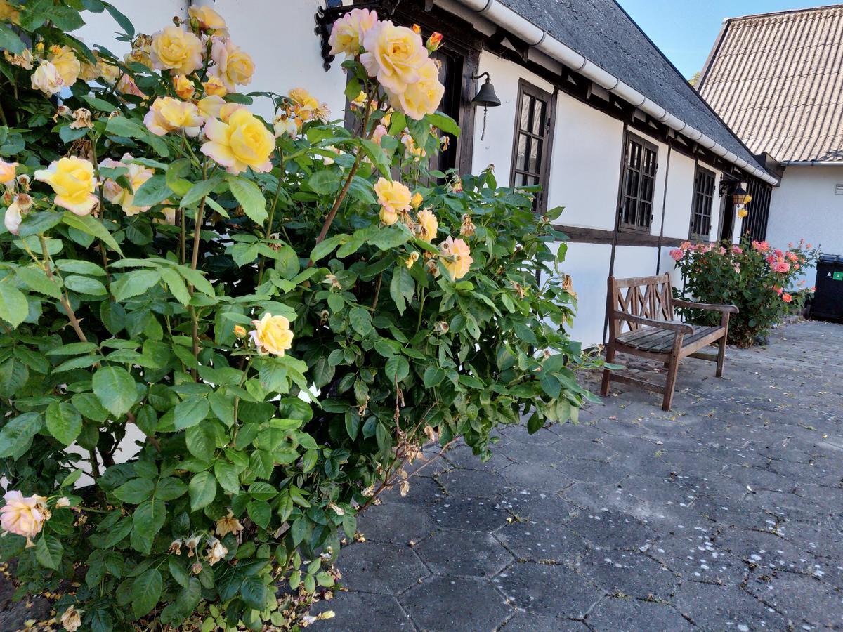 Dastrup Bed & Breakfast Viby Luaran gambar